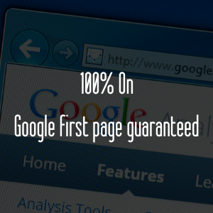 100% Advanced Google First Page Guaranteed in USA