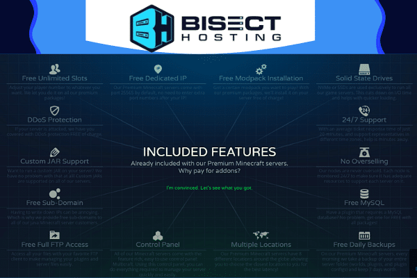 Best Bisect Hosting In USA